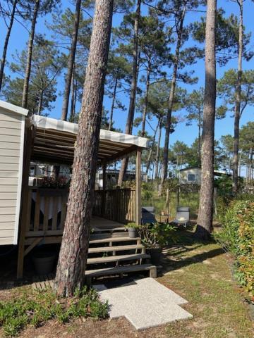 Les Dunes de Contis: Charming Mobile Home with Pine Forest Retreat Saint-Julien-en-Born Exterior photo