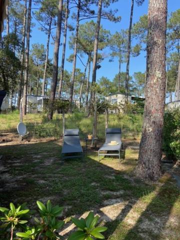 Les Dunes de Contis: Charming Mobile Home with Pine Forest Retreat Saint-Julien-en-Born Exterior photo